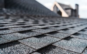 Unlocking the Beauty and Reliability of Professional Roofing Services